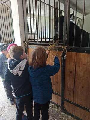 IMG_20220523_114814_copy_768x1023